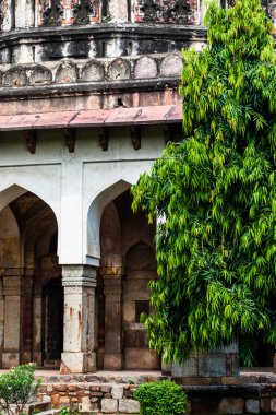 lodi bahçeleri. peyzajlı bahçeler içinde yer islami mezar (seesh Gumbad ve bara Gumbad). 15. yüzyıl reklam. Yeni Delhi, Hindistan.