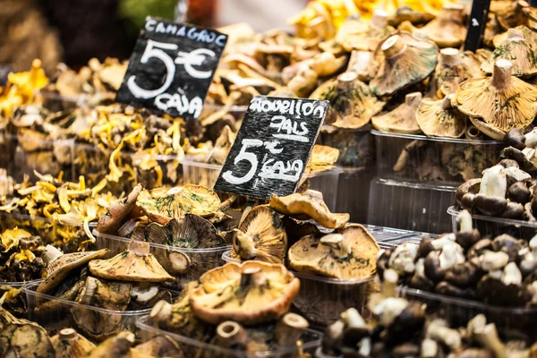 Boqueria 시장, 바르셀로나, 스페인에에서 있는 스탠드에 버섯. — 스톡 사진