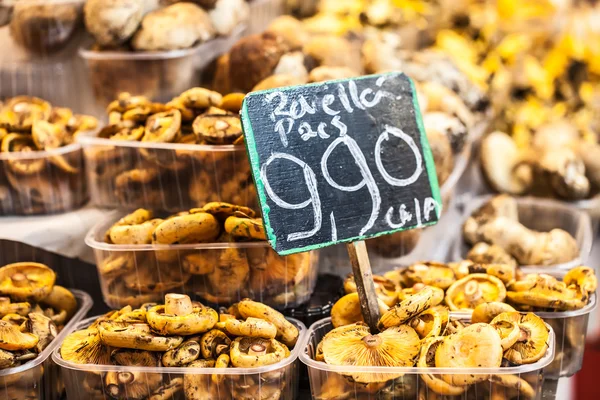 Cogumelos em um stand no Mercado Boqueria, em Barcelona, Espanha . — Fotografia de Stock