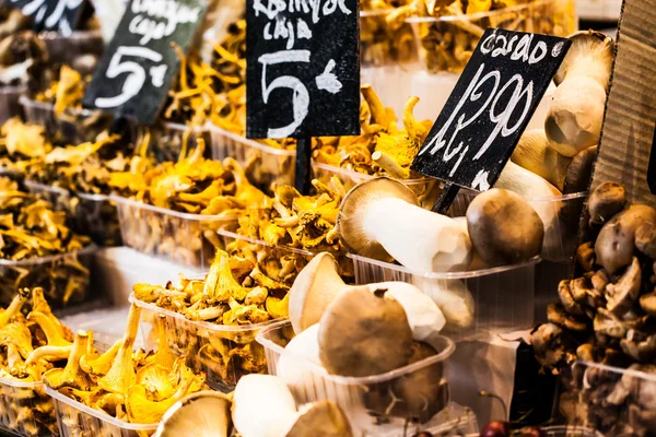 Funghi in uno stand nel Mercato della Boqueria, a Barcellona, Spagna . — Foto Stock