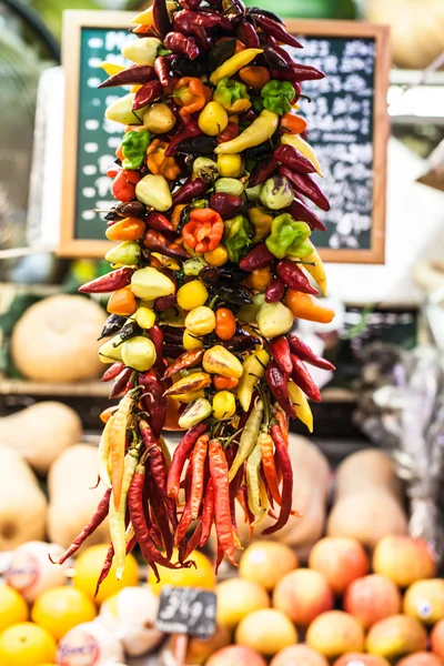 Červené chilli papričky, visí. zblízka. — Stock fotografie