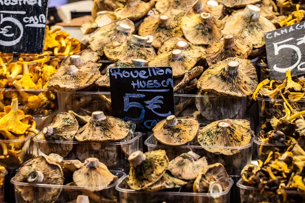 Boqueria 시장, 바르셀로나, 스페인에에서 있는 스탠드에 버섯. — 스톡 사진