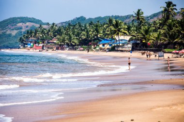 Anjuna çıkarken üzerinde gelgit ile beyaz plaj panorama ıslak kum ve yeşil Hindistan cevizi avuç içi, goa, Hindistan