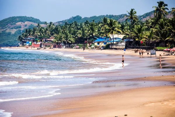 Anjuna çıkarken üzerinde gelgit ile beyaz plaj panorama ıslak kum ve yeşil Hindistan cevizi avuç içi, goa, Hindistan