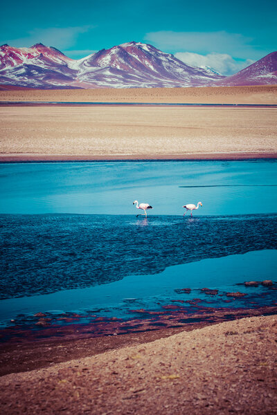 Desert and mountain over blue sky and white clouds on Altiplano,Bolivia