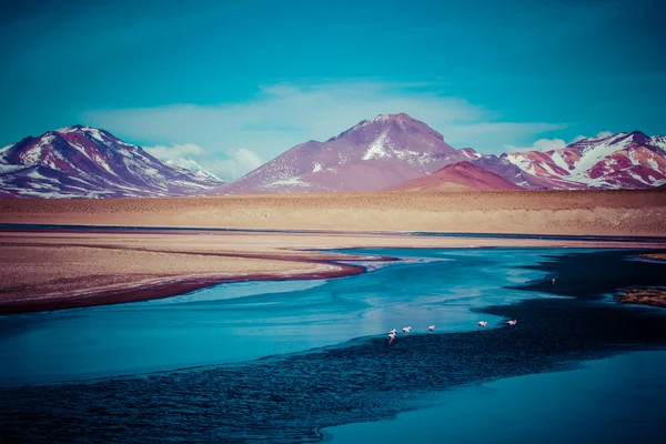 Desierto y montaña sobre cielo azul y nubes blancas en Altiplano, Bolivia —  Fotos de Stock