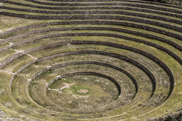 Perú, Moray, antiguas terrazas circulares incas. Es probable que haya el laboratorio Incas de agricultura — Foto de Stock