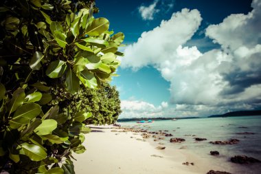 Havelock Island blue sky with white clouds, Andaman Islands, India clipart
