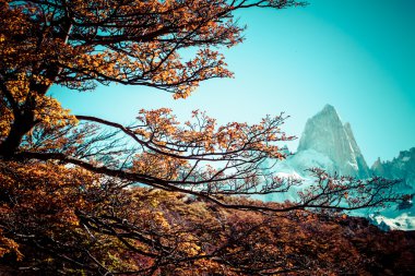 güzel doğa manzarası ile mt. fitz roy los glaciares Milli Parkı, patagonia, Arjantin görüldüğü gibi