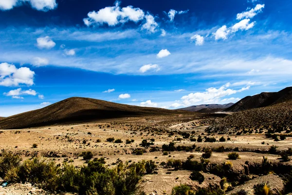 Eine wüste auf dem altiplano der andes in bolivien — Stockfoto