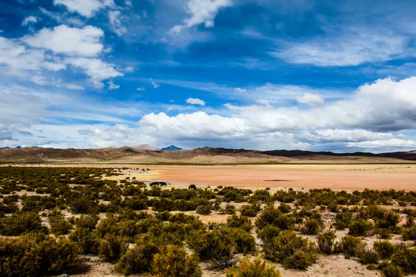 Un desierto en el altiplano de los andes en Bolivia — Foto de Stock