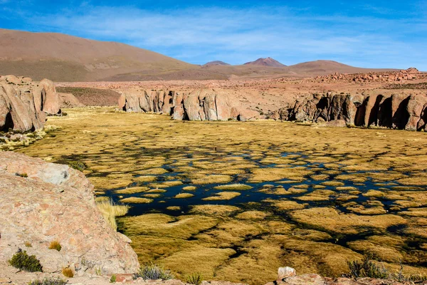 Eine wüste auf dem altiplano der andes in bolivien — Stockfoto