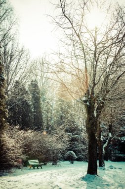 Winter park Polonya.