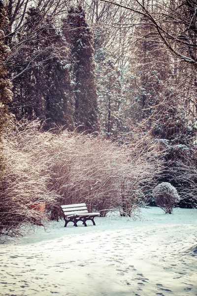 Parque de Inverno na Polónia . — Fotografia de Stock