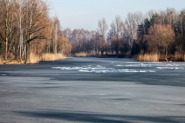 Traditional polish landscape in winter, frozen lake. — Stock Photo, Image