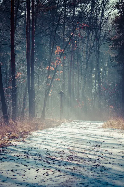 Winter time in local park, Poland. — Stock Photo, Image