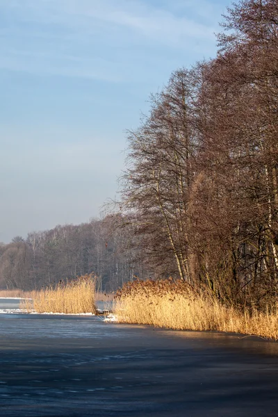 Traditional polish landscape in winter, frozen lake. — Stock Photo, Image