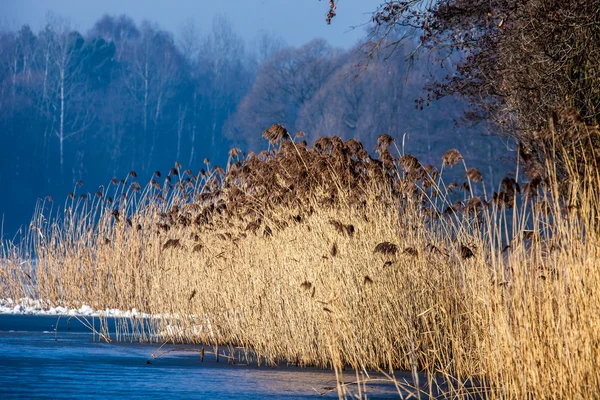 Traditional polish landscape in winter, frozen lake. — Stock Photo, Image