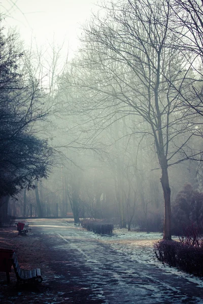 Hora de inverno no parque local, Polônia . — Fotografia de Stock