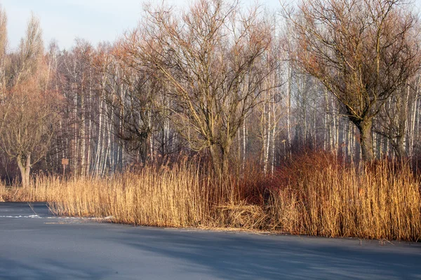 Traditional polish landscape in winter, frozen lake. — Stock Photo, Image