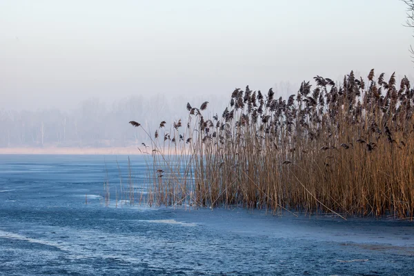 Jezioro pogoria. czas zimowy krajobraz w Polsce — Zdjęcie stockowe