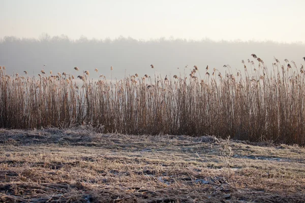 湖 pogoria。ポーランドの冬時間を風景します。 — ストック写真