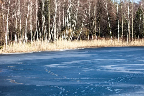 Winter tijd landschap lake en berken bomen, Polen — Stockfoto