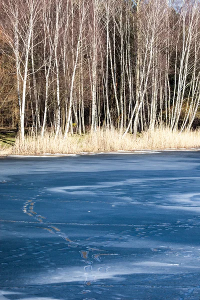 Winter tijd landschap lake en berken bomen, Polen — Stockfoto