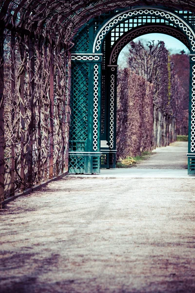 Walkway through English country garden — Stock Photo, Image