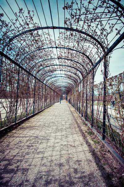 Gehweg durch englischen Landgarten — Stockfoto