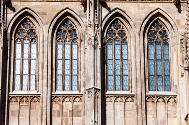 Avusturya, Viyana 'daki St. Stephan Katedrali 