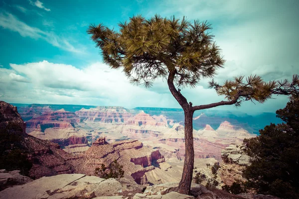 Grand Canyon National Park, Arizona — Stock fotografie