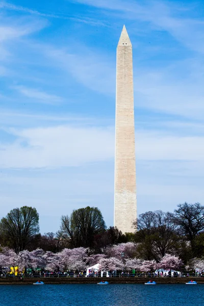 Washington dc wiśni kwiat z jeziora i washington monument. — Zdjęcie stockowe