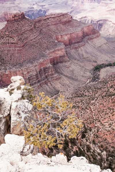 Parque Nacional del Gran Cañón, Arizoan, Estados Unidos — Foto de Stock