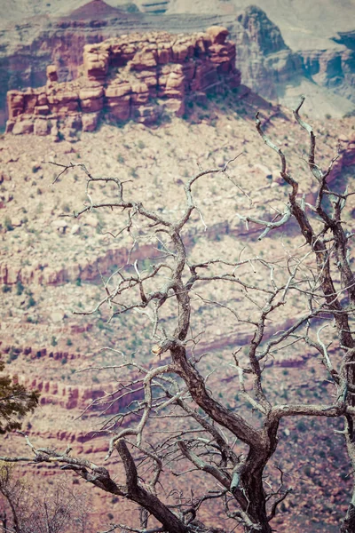 Grand Canyon Nationaal Park, Arizona — Stockfoto