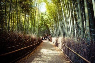 Arashiyama mountain Kyoto Japan famous landmark for tourist with bamboo forest  clipart