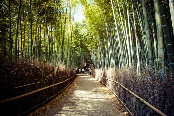 Арасіяма гірські Кіото Японії визначною для туристичних з бамбуковому лісі — стокове фото