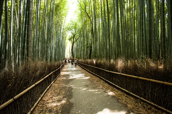 Shee berg kyoto japan beroemde bezienswaardigheid voor toeristische met bamboebos — Stockfoto