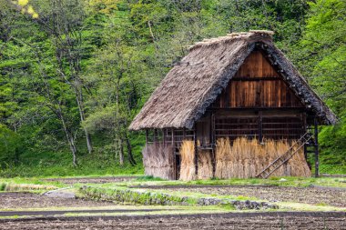 geleneksel ve tarihsel Japon Köyü ogimachi - go shirakawa, Japonya 