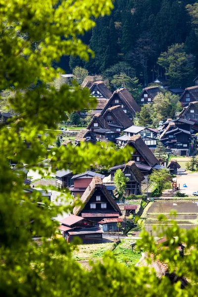 Geleneksel ve tarihsel Japon Köyü ogimachi - go shirakawa, Japonya — Stok fotoğraf