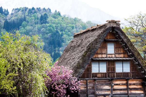 Tradiční a historické japonské vesnice ogimachi - shirakawa go, Japonsko — Stock fotografie