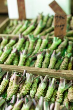 Wasabi kök tipik bir Japon pazarında Satılık 