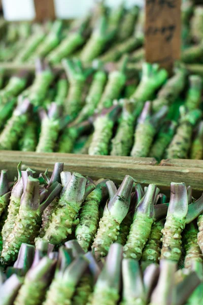 Wasabi roten till salu i en typisk japansk marknad — Stockfoto