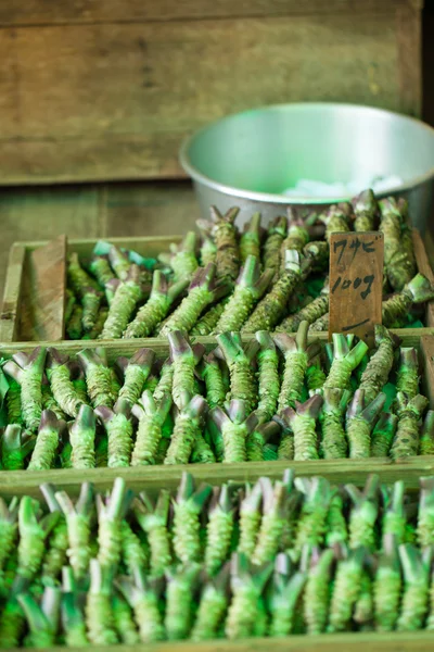 Wasabi kök tipik bir Japon pazarında Satılık — Stok fotoğraf