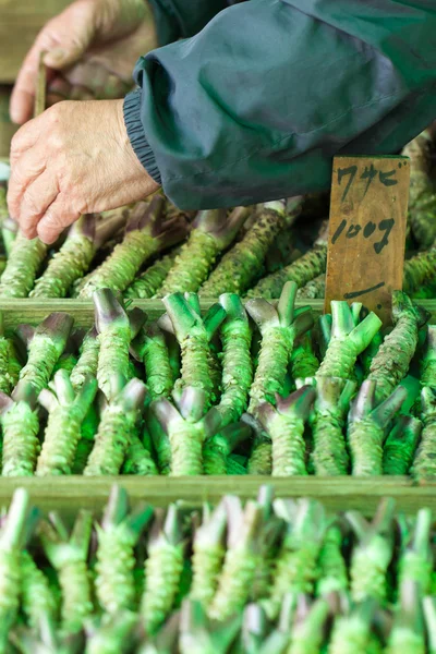 Wasabi roten till salu i en typisk japansk marknad — Stockfoto