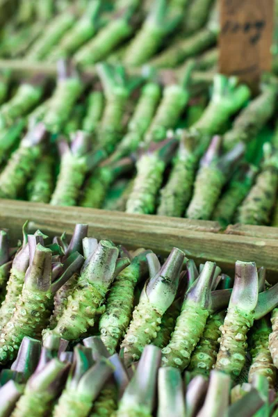 Raiz Wasabi para venda em um mercado japonês típico — Fotografia de Stock