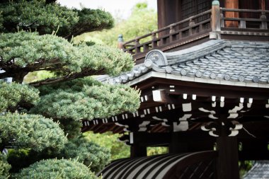 geleneksel temple kyoto, Japonya