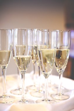 profesyonel garson üniforma şarap hizmet vermektedir