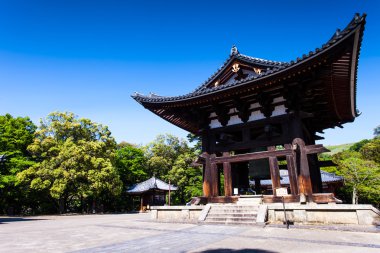 Todaiji Budist tapınağı antik Japon başkentinde nara 