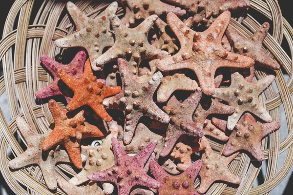 Sjöstjärnor och snäckskal souvenirer till salu — Stockfoto